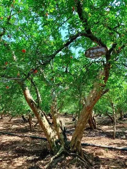 ΢��ͼƬ_20201015164721